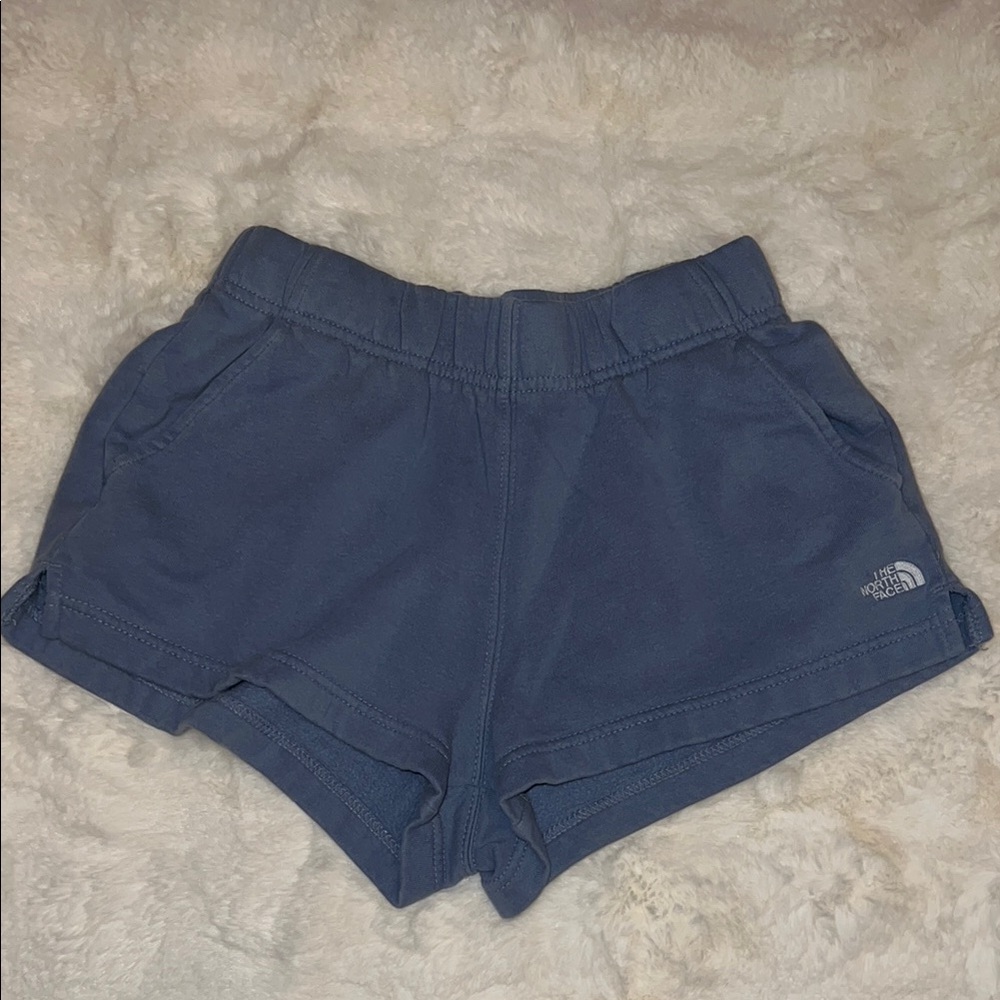 The North Face Periwinkle Shorts